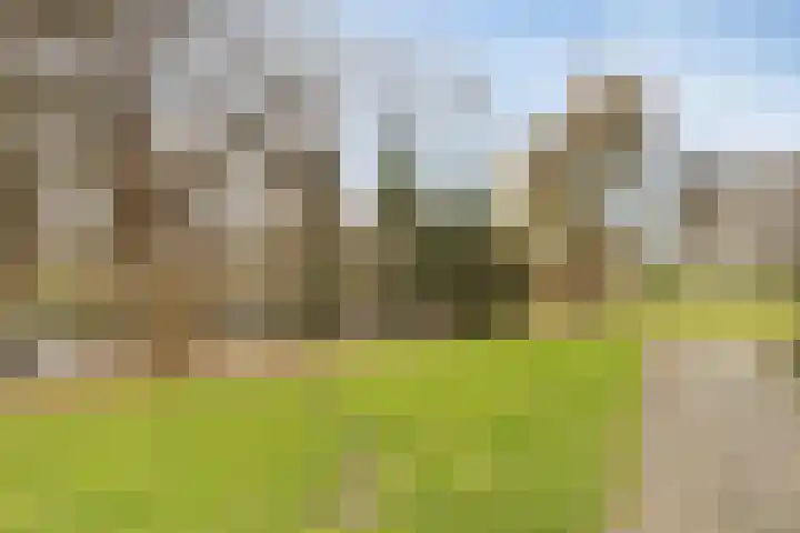 Apollolaan 472 Leiden thumbnail 38