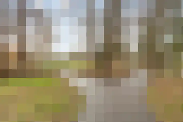 Apollolaan 472 Leiden thumbnail 39