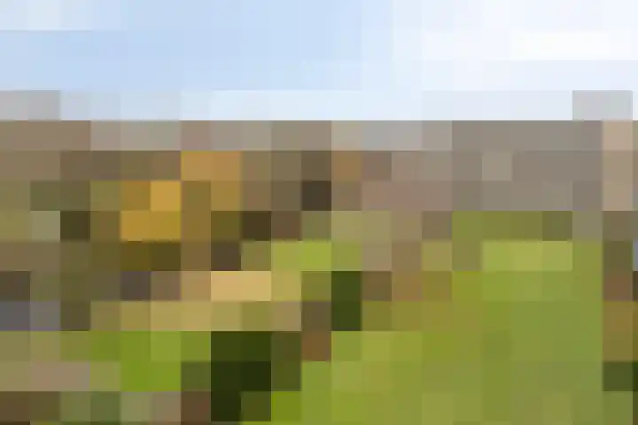 Apollolaan 472 Leiden thumbnail 4