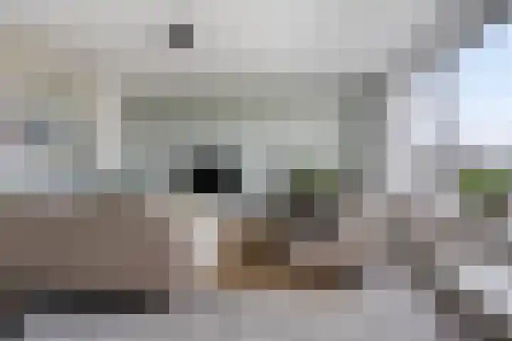 Apollolaan 472 Leiden thumbnail 8