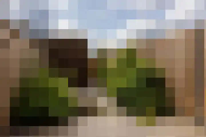 Apollolaan 48 Leusden thumbnail 11