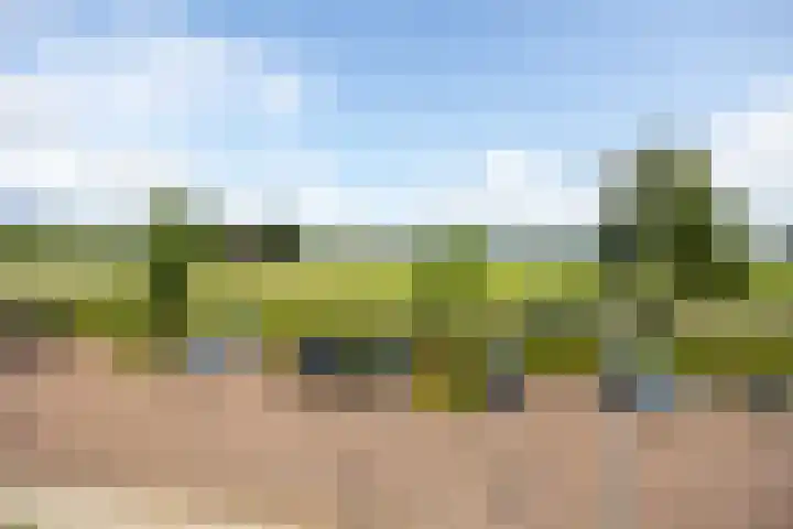 Apollolaan 48 Leusden thumbnail 21