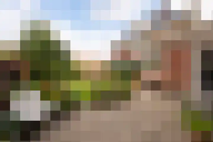 Apollolaan 52 Amsterdam thumbnail 18