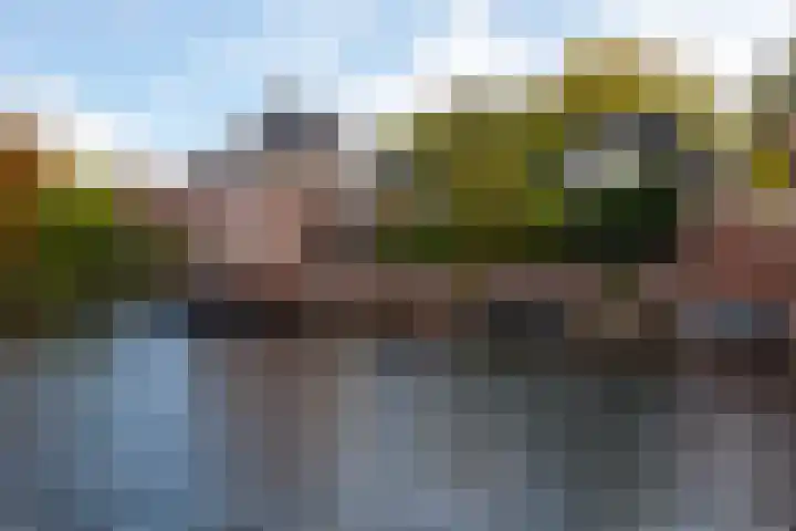 Apollolaan 52 Amsterdam thumbnail 49