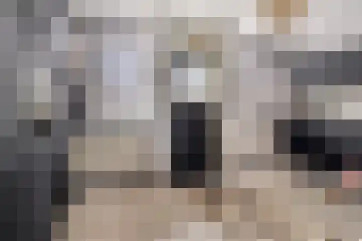 Apollolaan 528 Leiden thumbnail 10