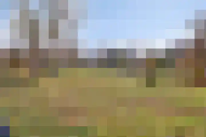 Apollolaan 528 Leiden thumbnail 31