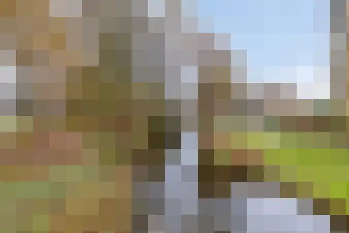 Apollolaan 528 Leiden thumbnail 36