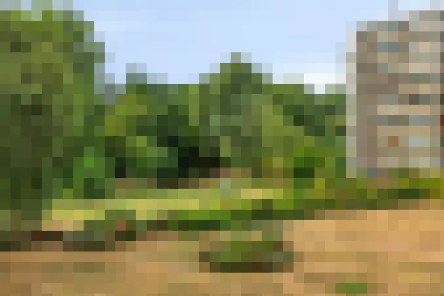 Apollolaan 546 Leiden thumbnail 17