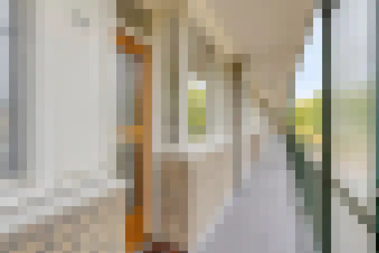 Apollolaan 546 Leiden thumbnail 5