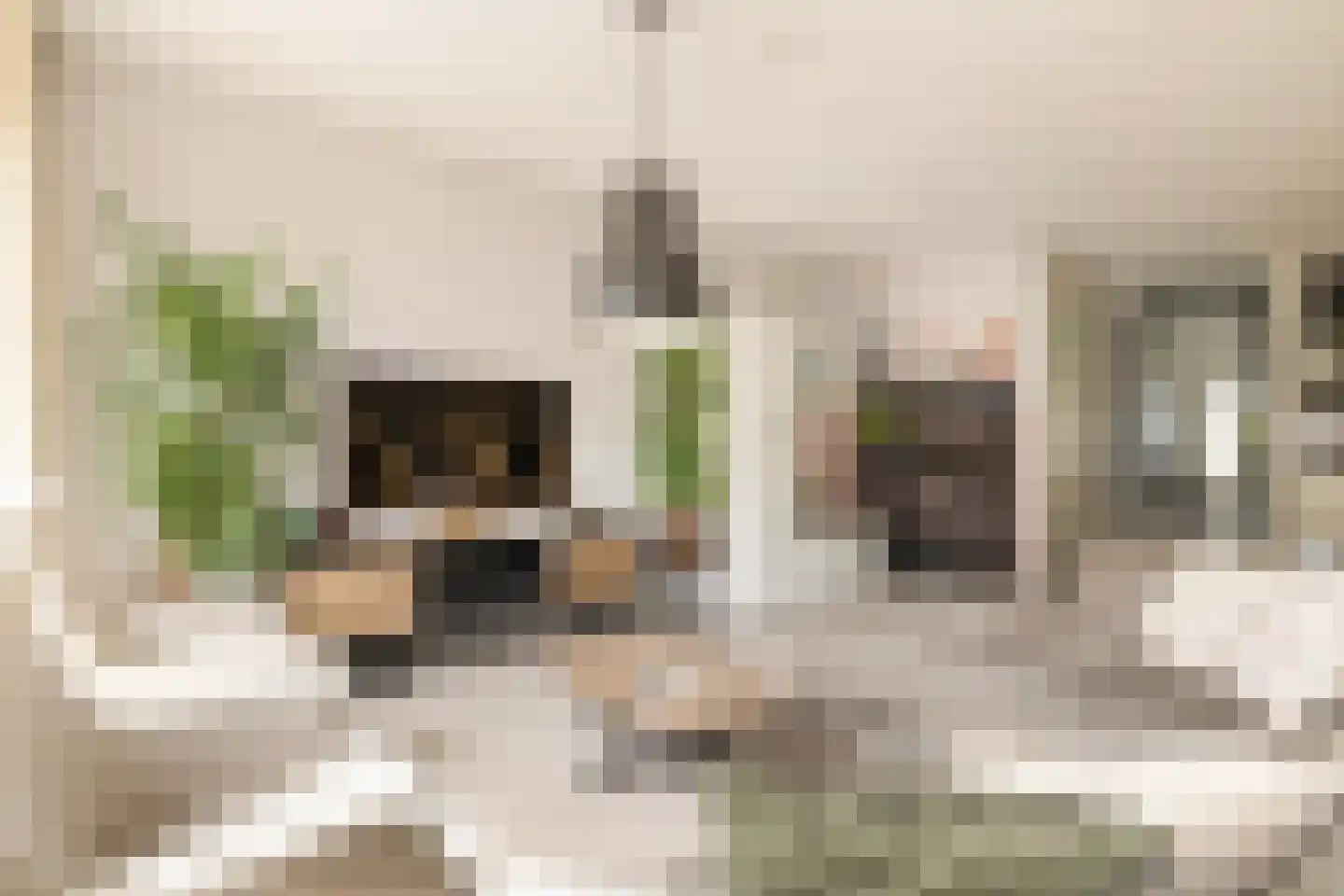 Apollolaan 55 Oostzaan thumbnail 11