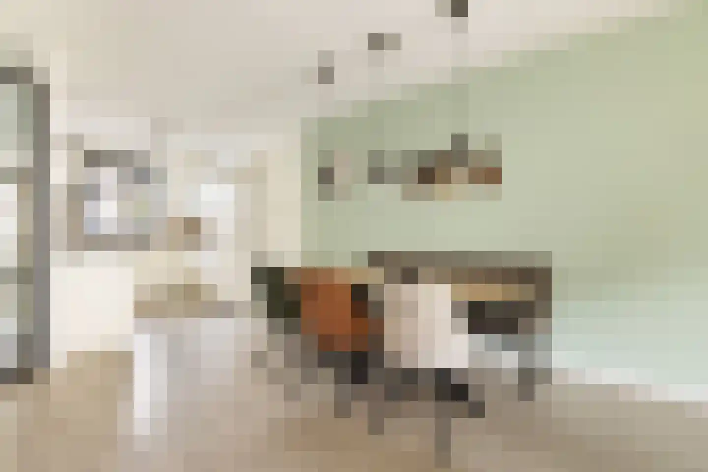 Apollolaan 55 Oostzaan thumbnail 13