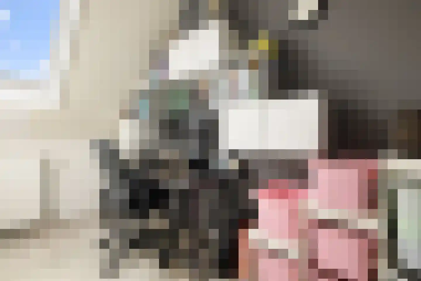 Apollolaan 55 Oostzaan thumbnail 31