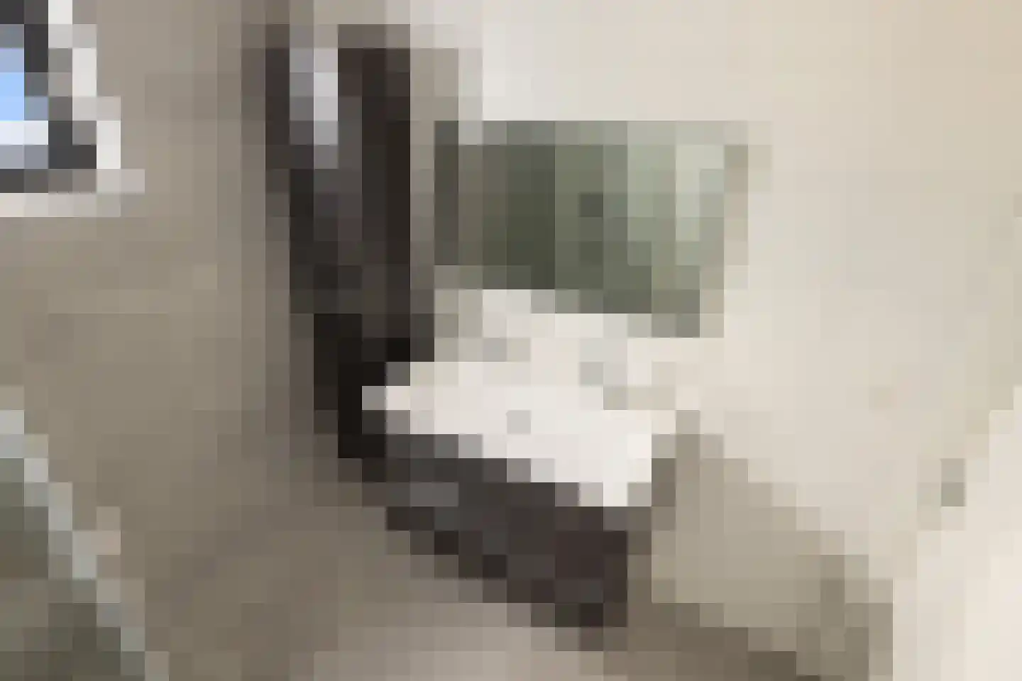 Apollolaan 55 Oostzaan thumbnail 36