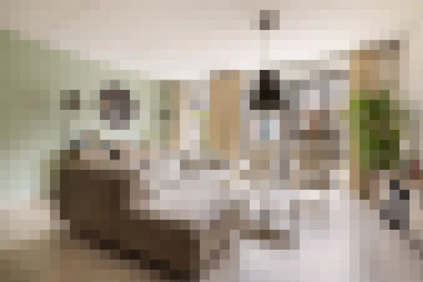 Apollolaan 55 Oostzaan thumbnail 6