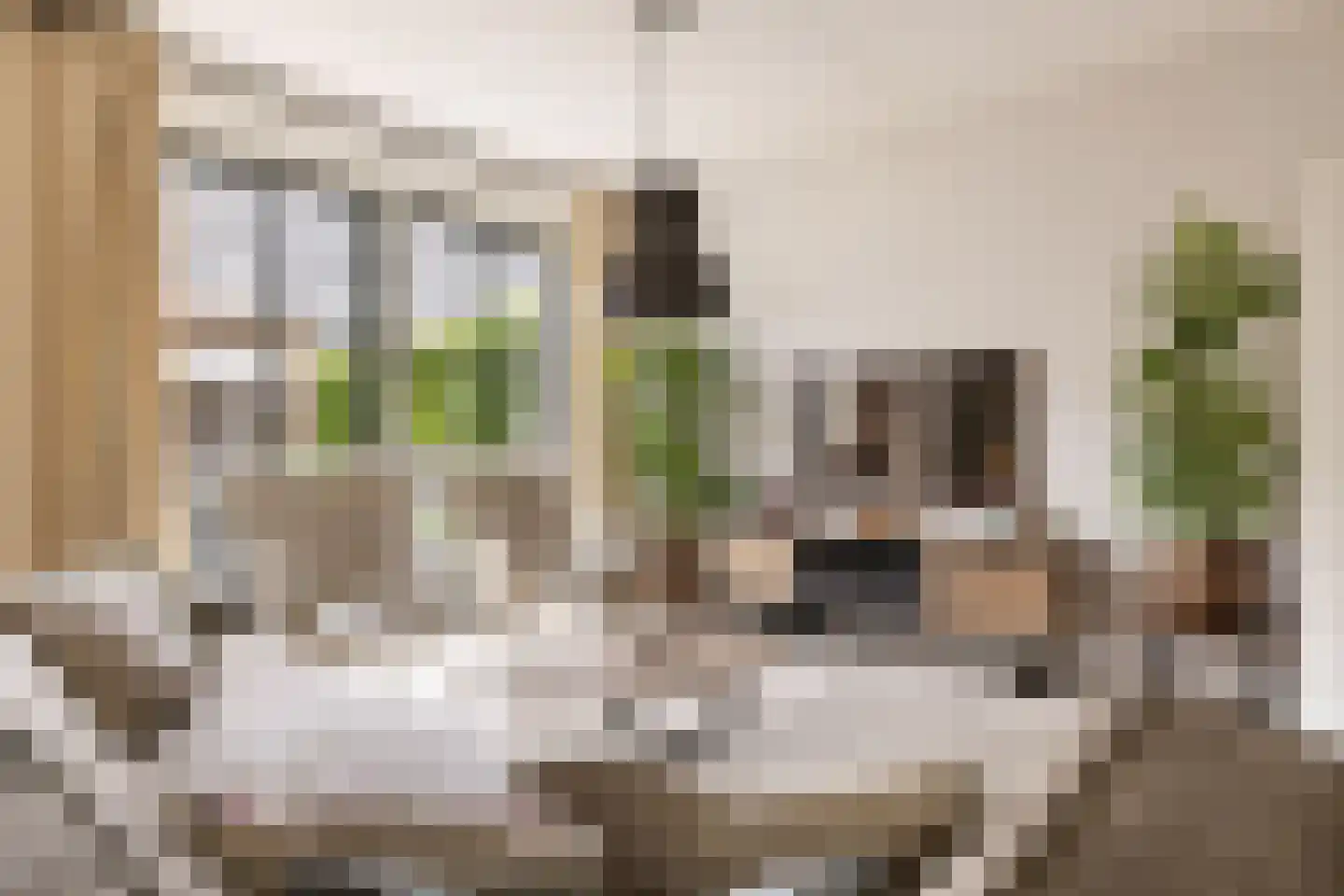 Apollolaan 55 Oostzaan thumbnail 8
