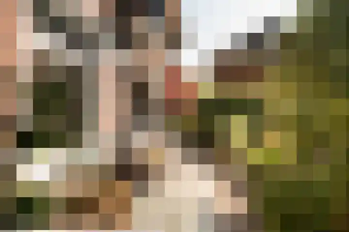 Apollolaan 58 Amsterdam thumbnail 10