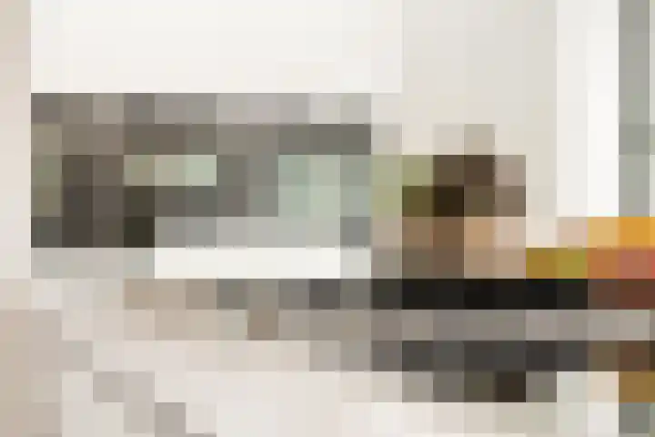 Apollolaan 58 Amsterdam thumbnail 13