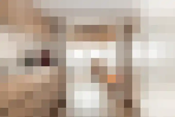 Apollolaan 58 Amsterdam thumbnail 25