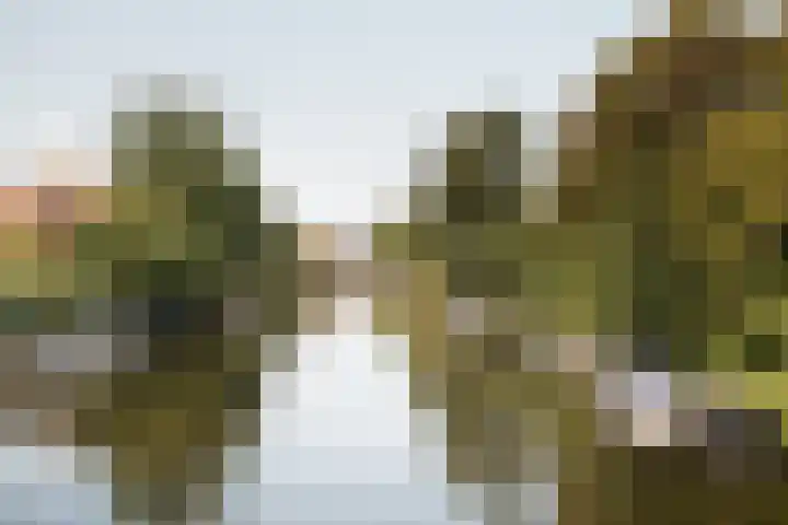 Apollolaan 58 Amsterdam thumbnail 34