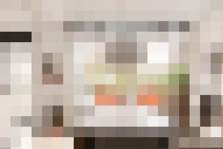 Apollolaan 58 Amsterdam thumbnail 5