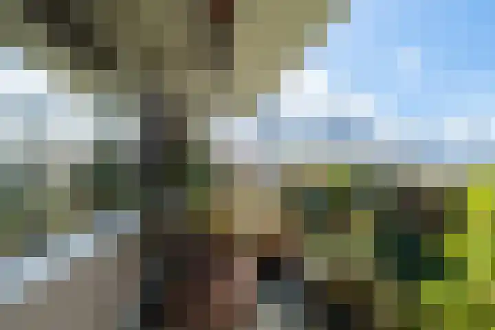 Apollolaan 620 Leiden thumbnail 16