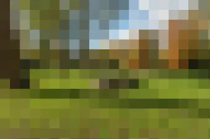 Apollolaan 620 Leiden thumbnail 28