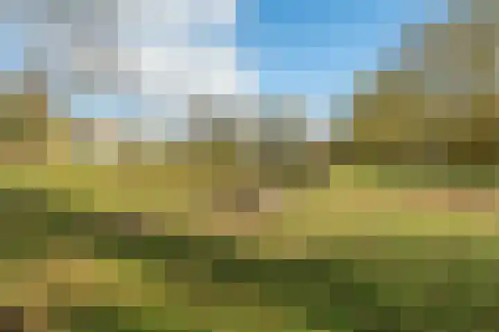 Apollolaan 620 Leiden thumbnail 33