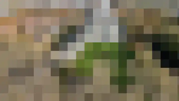 Apollolaan 620 Leiden thumbnail 35