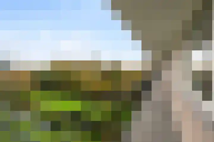 Apollolaan 620 Leiden thumbnail 8