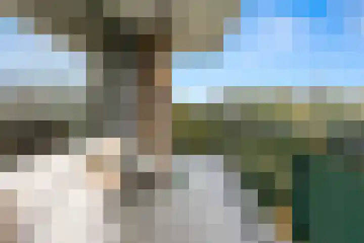 Apollolaan 628 Leiden thumbnail 28