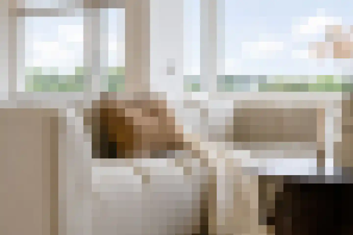 Apollolaan 644 Leiden thumbnail 12