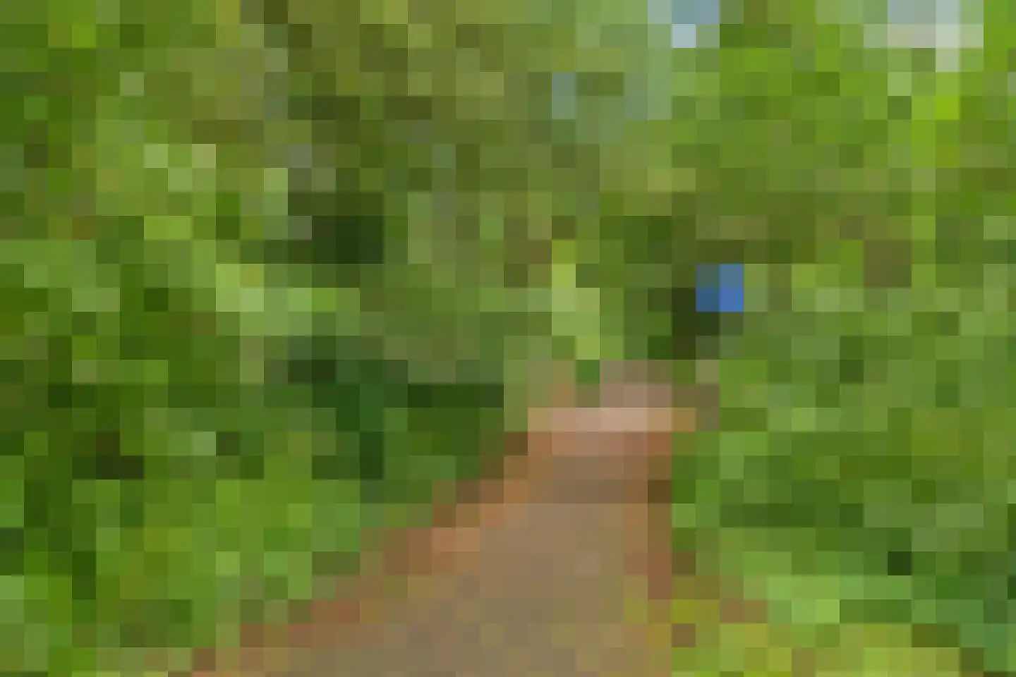 Apollolaan 644 Leiden thumbnail 30
