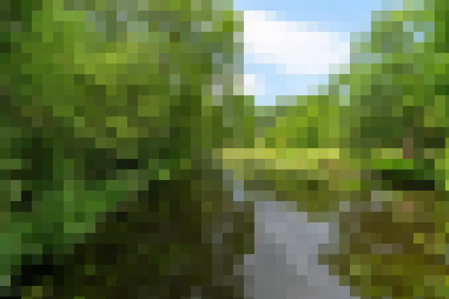 Apollolaan 644 Leiden thumbnail 32