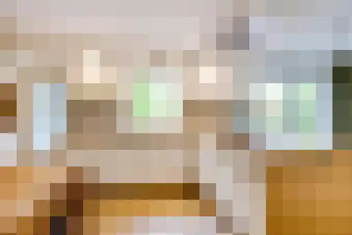 Apollolaan 66 Son en Breugel thumbnail 12