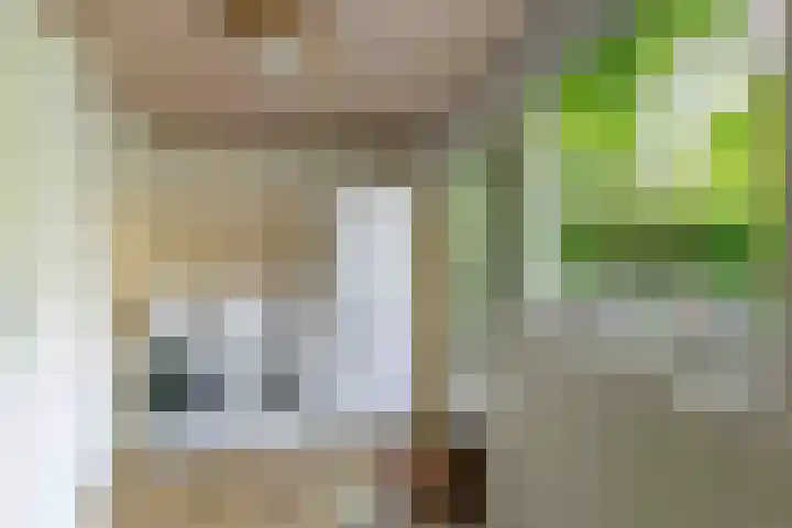 Apollolaan 66 Son en Breugel thumbnail 13