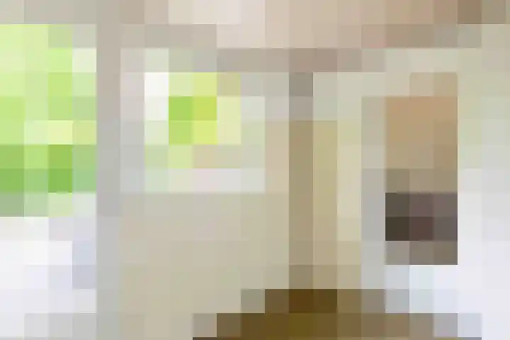 Apollolaan 66 Son en Breugel thumbnail 14