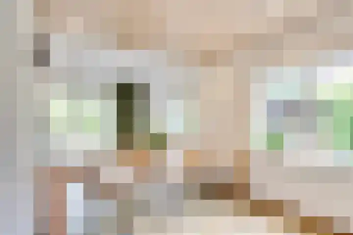 Apollolaan 66 Son en Breugel thumbnail 20