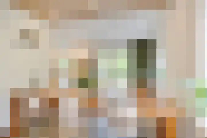 Apollolaan 66 Son en Breugel thumbnail 21