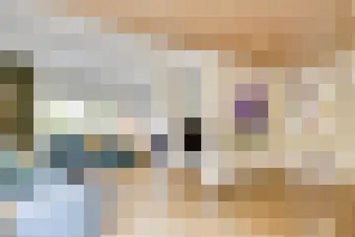 Apollolaan 66 Son en Breugel thumbnail 25