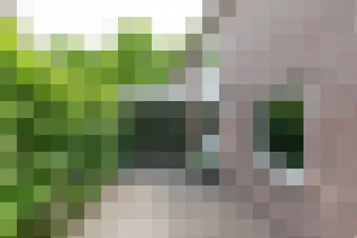 Apollolaan 66 Son en Breugel thumbnail 4