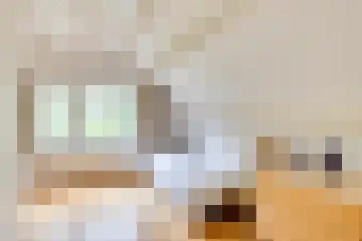 Apollolaan 66 Son en Breugel thumbnail 43