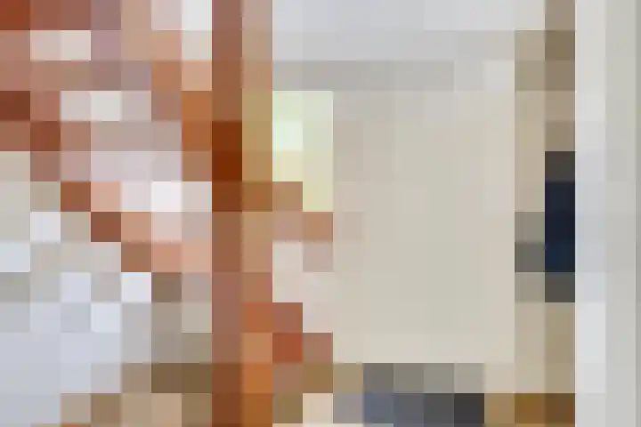 Apollolaan 66 Son en Breugel thumbnail 5
