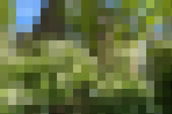 Apollolaan 66 Son en Breugel thumbnail 58