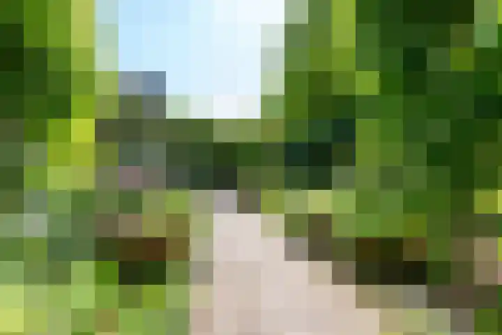 Apollolaan 66 Son en Breugel thumbnail 59