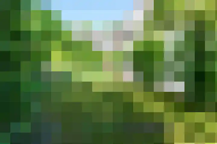 Apollolaan 66 Son en Breugel thumbnail 61