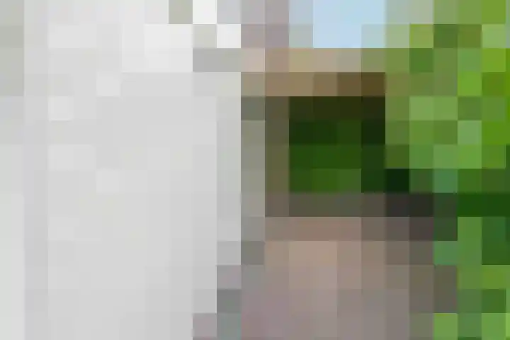 Apollolaan 66 Son en Breugel thumbnail 63
