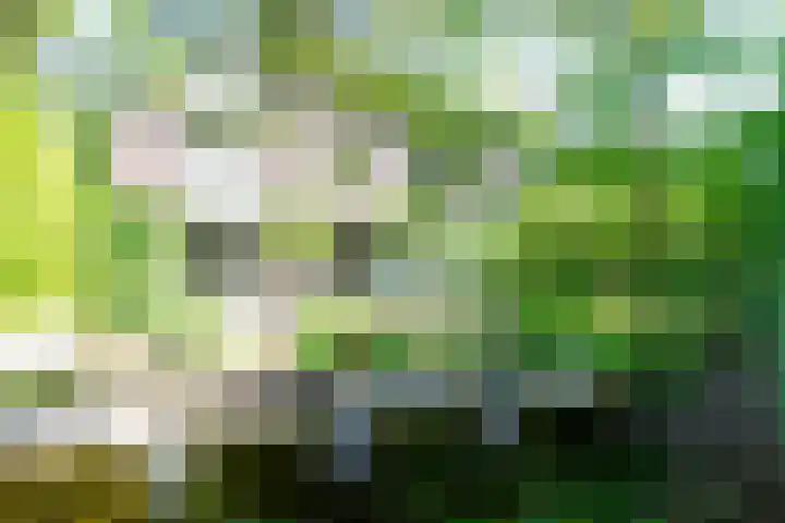 Apollolaan 66 Son en Breugel thumbnail 64