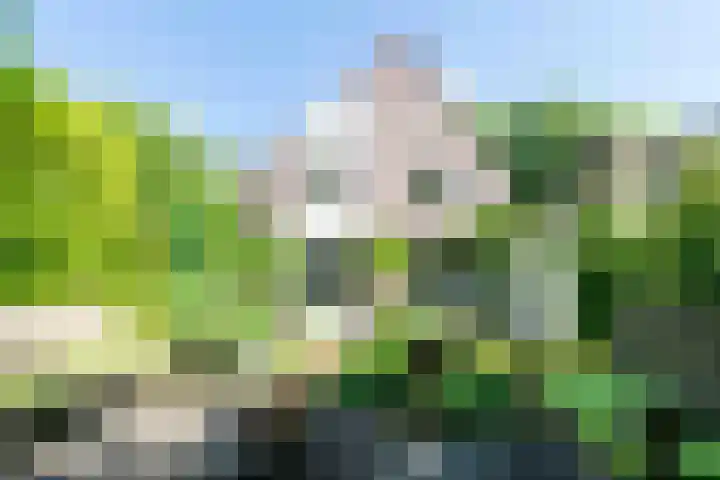 Apollolaan 66 Son en Breugel thumbnail 65