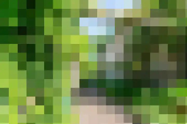 Apollolaan 66 Son en Breugel thumbnail 68