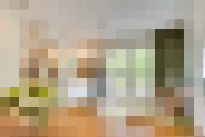 Apollolaan 66 Son en Breugel thumbnail 7